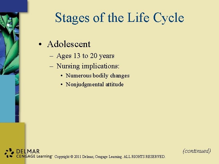 Stages of the Life Cycle • Adolescent – Ages 13 to 20 years –