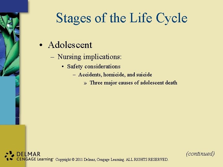 Stages of the Life Cycle • Adolescent – Nursing implications: • Safety considerations –