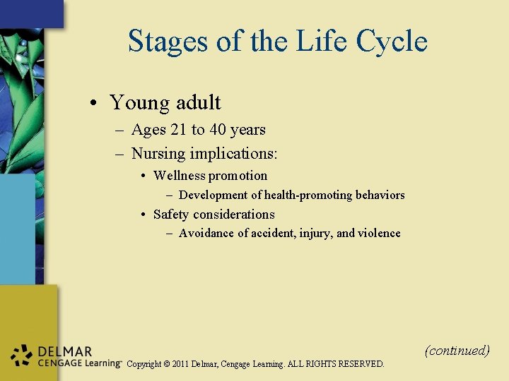 Stages of the Life Cycle • Young adult – Ages 21 to 40 years