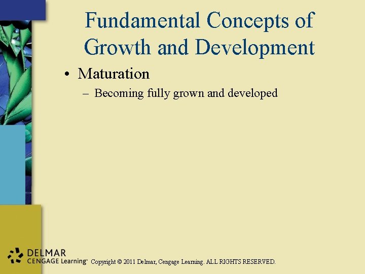 Fundamental Concepts of Growth and Development • Maturation – Becoming fully grown and developed
