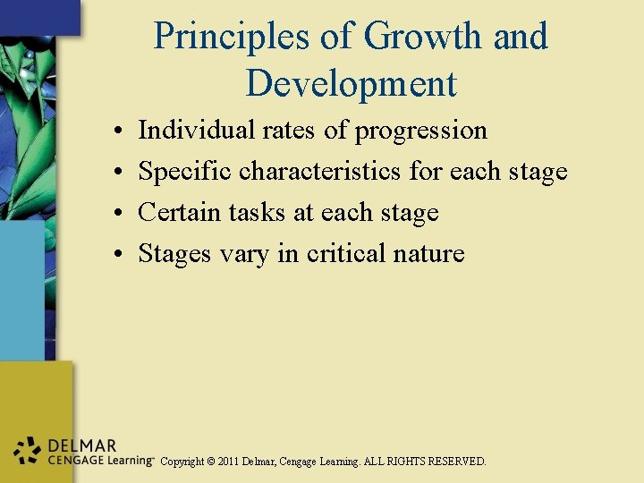 Principles of Growth and Development • • Individual rates of progression Specific characteristics for