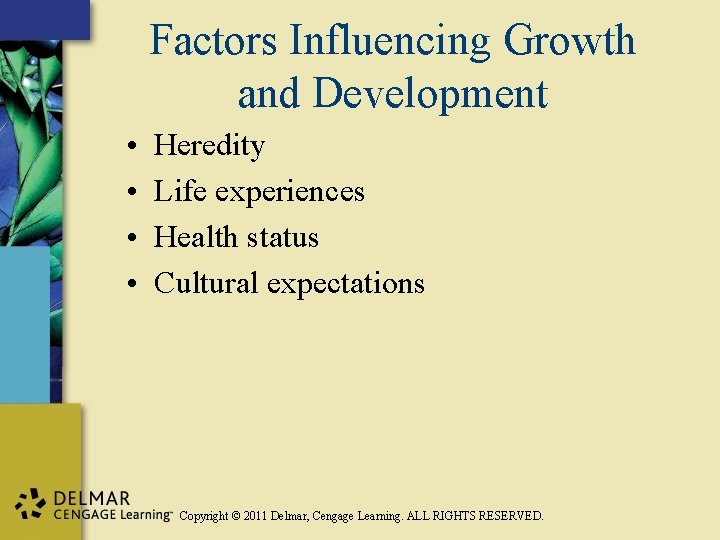 Factors Influencing Growth and Development • • Heredity Life experiences Health status Cultural expectations