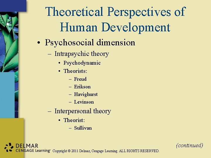 Theoretical Perspectives of Human Development • Psychosocial dimension – Intrapsychic theory • Psychodynamic •