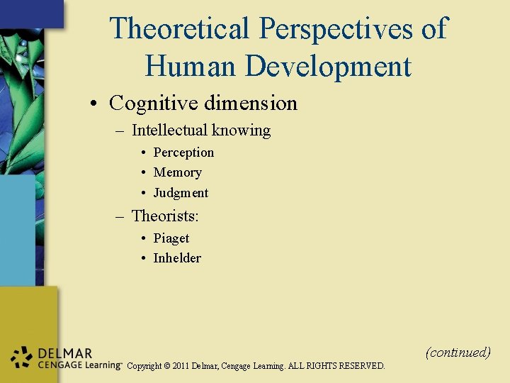 Theoretical Perspectives of Human Development • Cognitive dimension – Intellectual knowing • Perception •