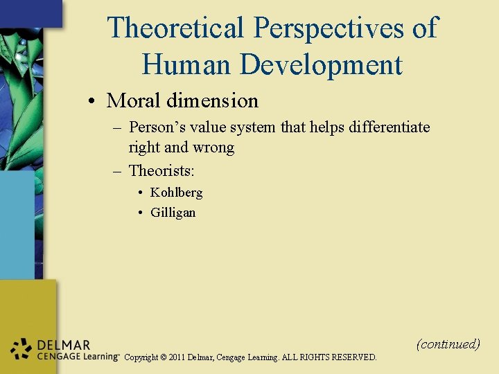 Theoretical Perspectives of Human Development • Moral dimension – Person’s value system that helps