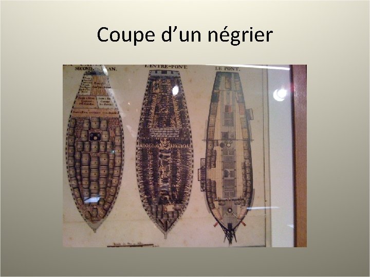 Coupe d’un négrier 