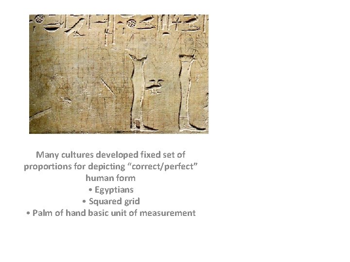 Many cultures developed fixed set of proportions for depicting “correct/perfect” human form • Egyptians