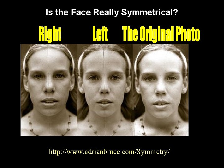 Is the Face Really Symmetrical? http: //www. adrianbruce. com/Symmetry/ 