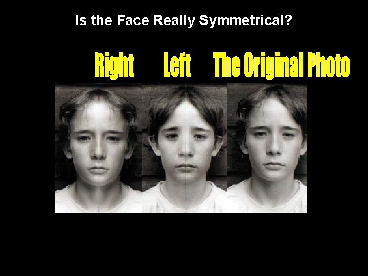 Is the Face Really Symmetrical? 