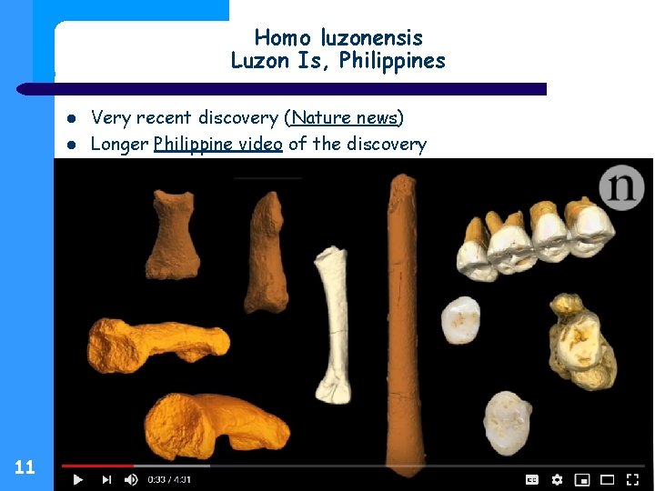 Homo luzonensis Luzon Is, Philippines 11 Very recent discovery (Nature news) Longer Philippine video