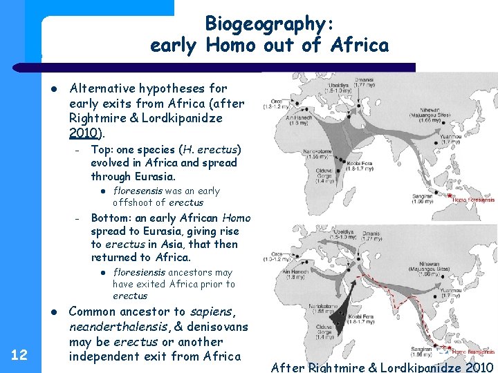 Biogeography: early Homo out of Africa Alternative hypotheses for early exits from Africa (after