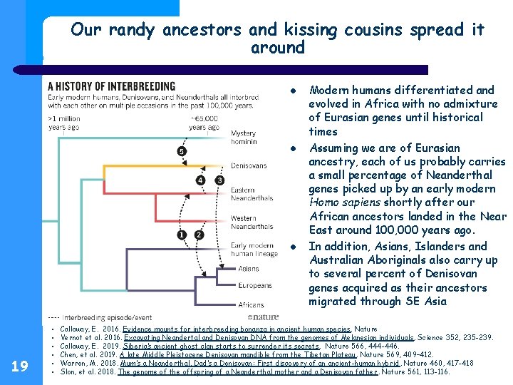 Our randy ancestors and kissing cousins spread it around 19 • • • Modern