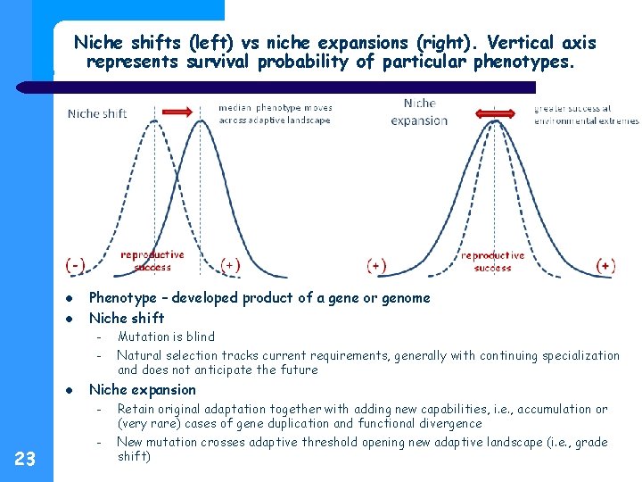 Niche shifts (left) vs niche expansions (right). Vertical axis represents survival probability of particular