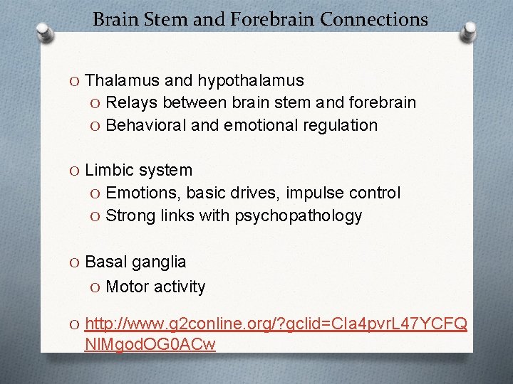 Brain Stem and Forebrain Connections O Thalamus and hypothalamus O Relays between brain stem