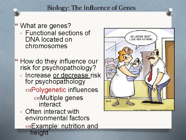 Biology: The Influence of Genes What are genes? ◦ Functional sections of DNA located