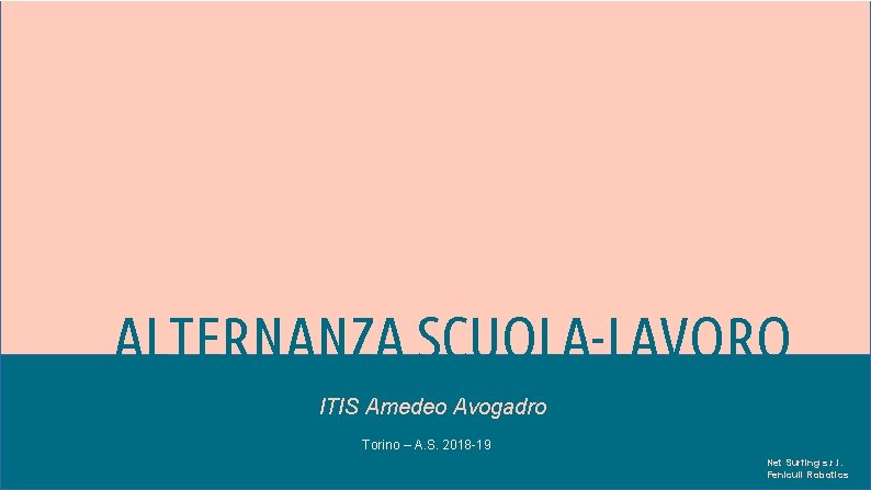 ALTERNANZA SCUOLA-LAVORO ITIS Amedeo Avogadro Torino – A. S. 2018 -19 Net Surfing s.