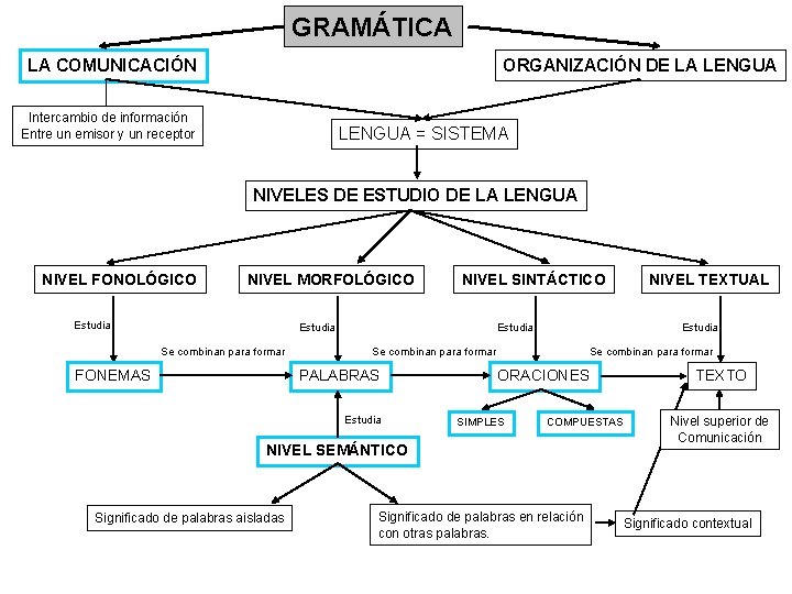 GRAMÁTICA LA COMUNICACIÓN ORGANIZACIÓN DE LA LENGUA Intercambio de información Entre un emisor y