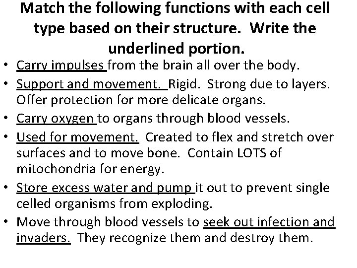 Match the following functions with each cell type based on their structure. Write the