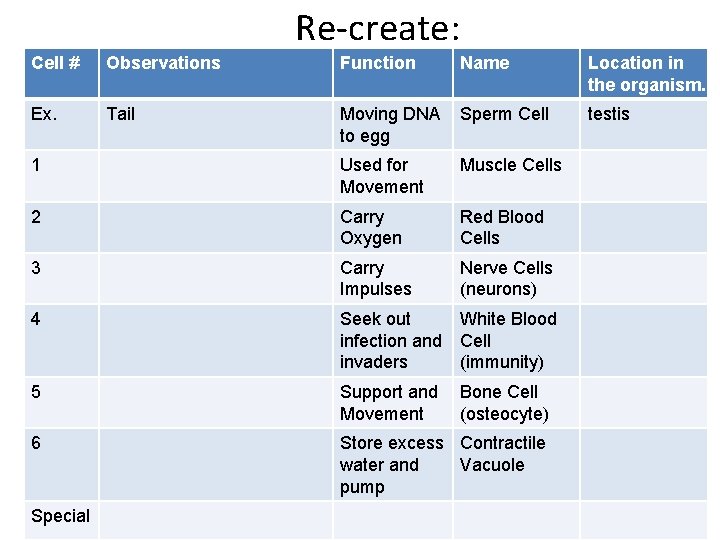 Re-create: Cell # Observations Function Name Location in the organism. Ex. Tail Moving DNA
