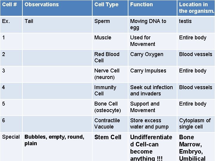 Cell # Observations Ex. Tail Re-create: Cell Type Function Location in the organism. Sperm