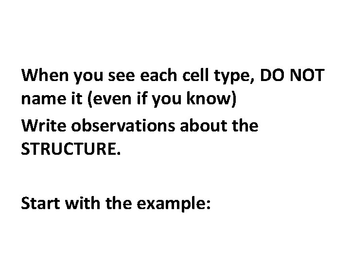When you see each cell type, DO NOT name it (even if you know)