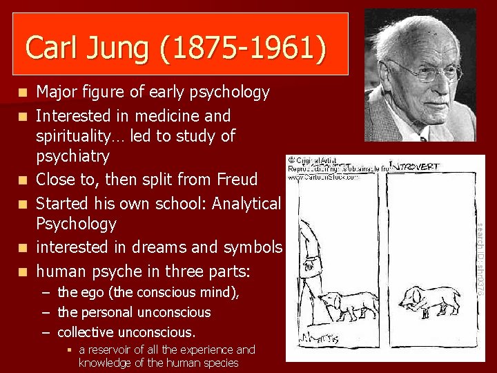 Carl Jung (1875 -1961) n n n Major figure of early psychology Interested in