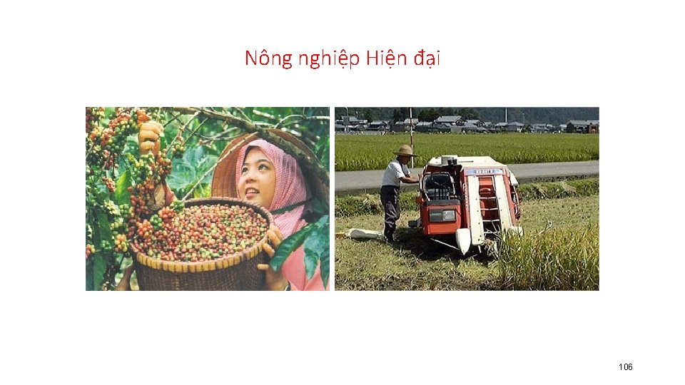 Nông nghiệp Hiện đại 106 