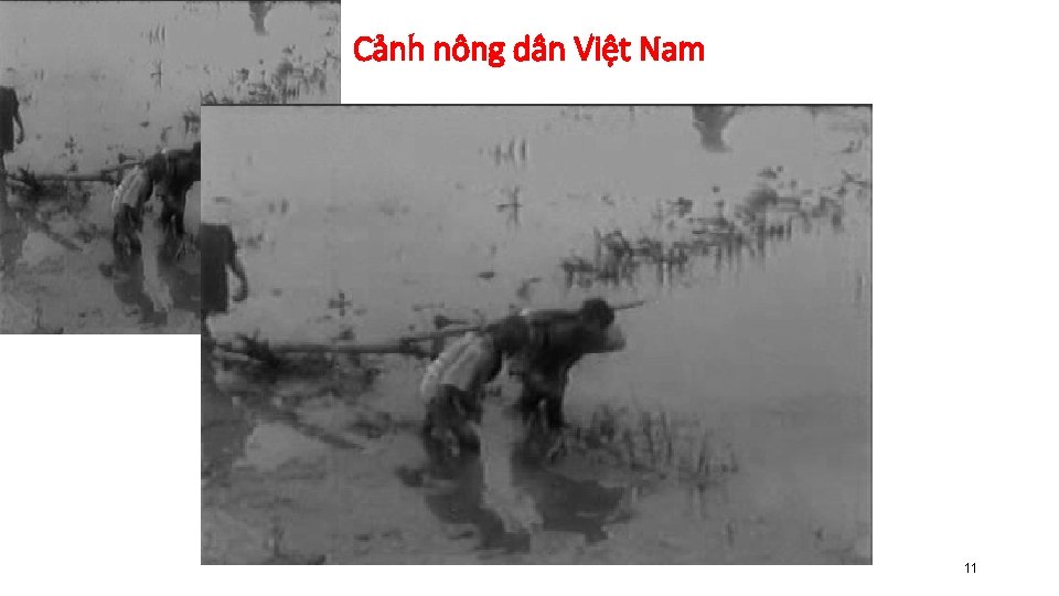 Cảnh nông dân Việt Nam 11 