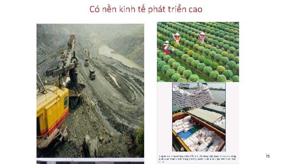 Có nền kinh tế phát triển cao 75 