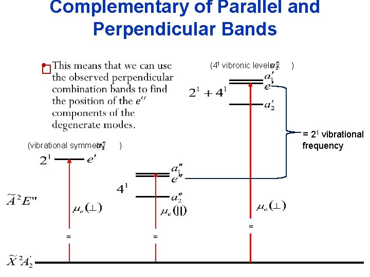 Complementary of Parallel and Perpendicular Bands (41 vibronic levels x � (vibrational symmetry ≈