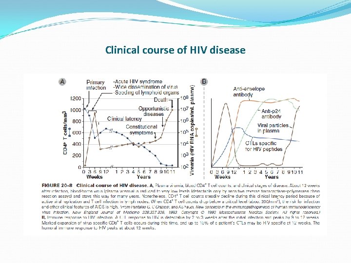 Clinical course of HIV disease 