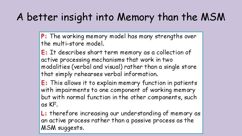A better insight into Memory than the MSM P: The working memory model has