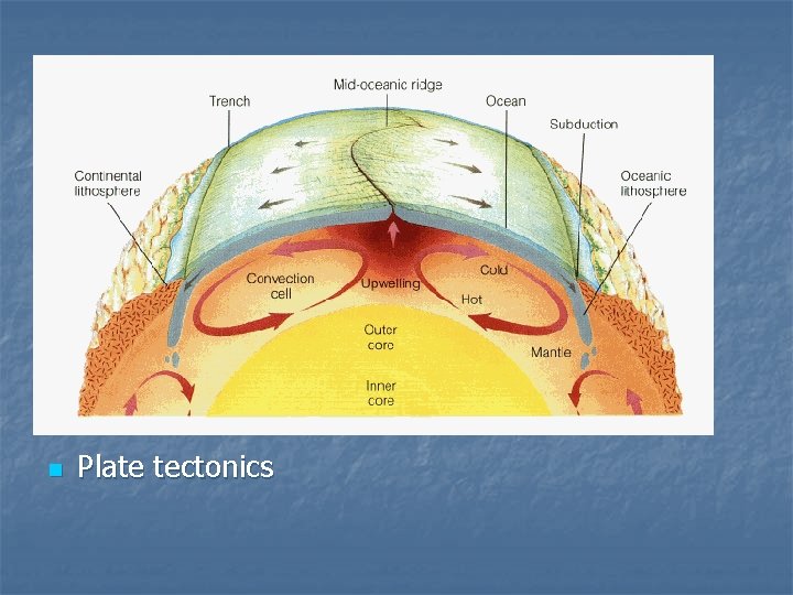 n Plate tectonics 