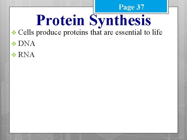 Page 37 v Cells v DNA v RNA Protein Synthesis produce proteins that are