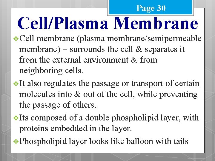 Page 30 Cell/Plasma Membrane v Cell membrane (plasma membrane/semipermeable membrane) = surrounds the cell