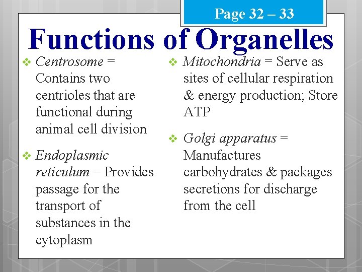 Page 32 – 33 Functions of Organelles v v Centrosome = Contains two centrioles