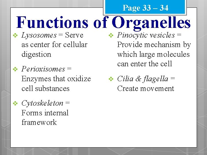 Page 33 – 34 Functions of Organelles v Lysosomes = Serve as center for