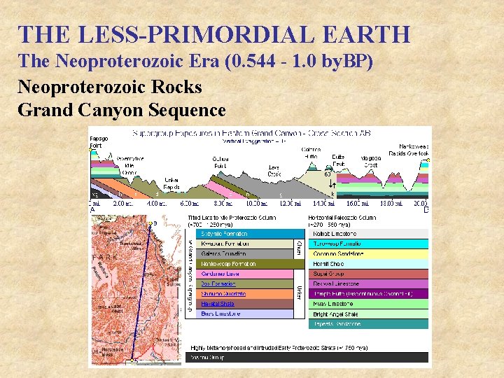 THE LESS-PRIMORDIAL EARTH The Neoproterozoic Era (0. 544 - 1. 0 by. BP) Neoproterozoic