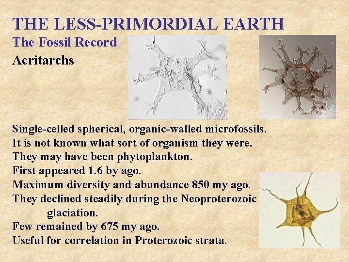 THE LESS-PRIMORDIAL EARTH The Fossil Record Acritarchs Single-celled spherical, organic-walled microfossils. It is not