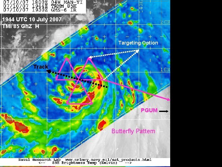 Tropical Storm WC-130 J Survey: BUTTERFLY 1944 UTC 10 July 2007 TMI 85 Gh.