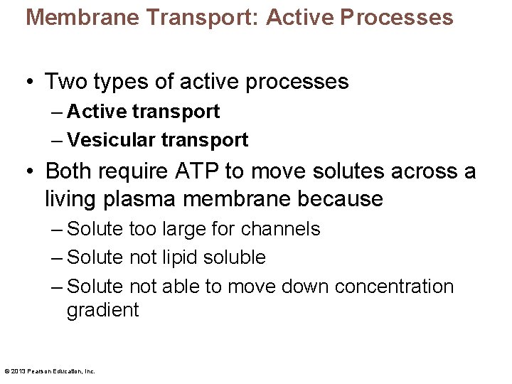 Membrane Transport: Active Processes • Two types of active processes – Active transport –