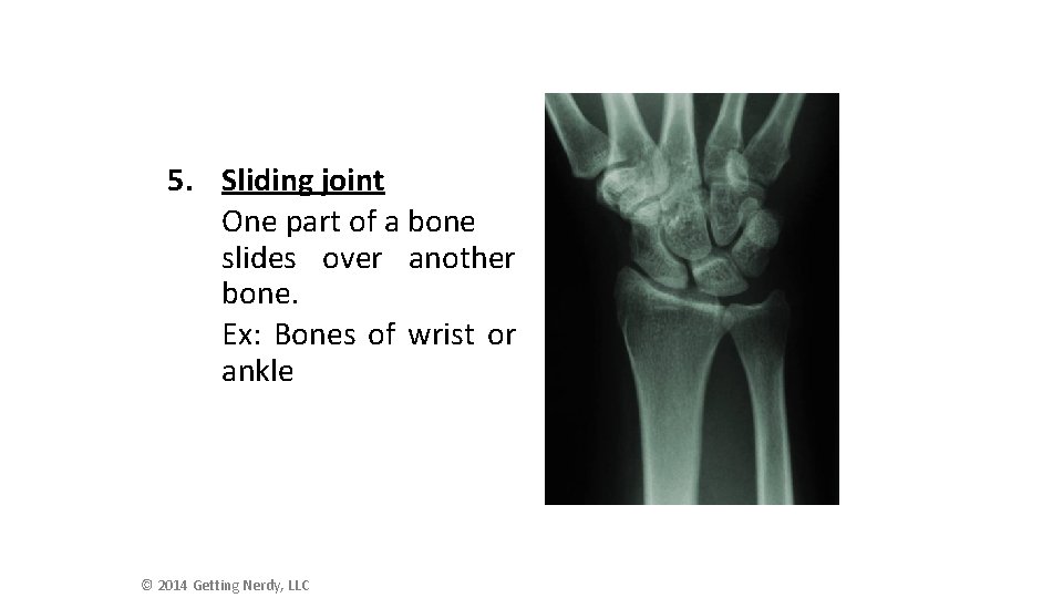 5. Sliding joint One part of a bone slides over another bone. Ex: Bones