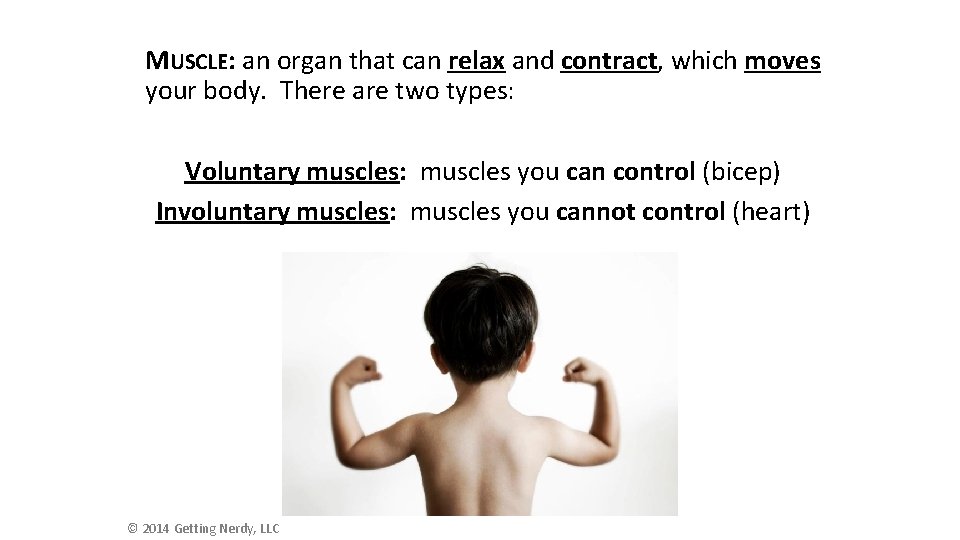 MUSCLE: an organ that can relax and contract, which moves your body. There are