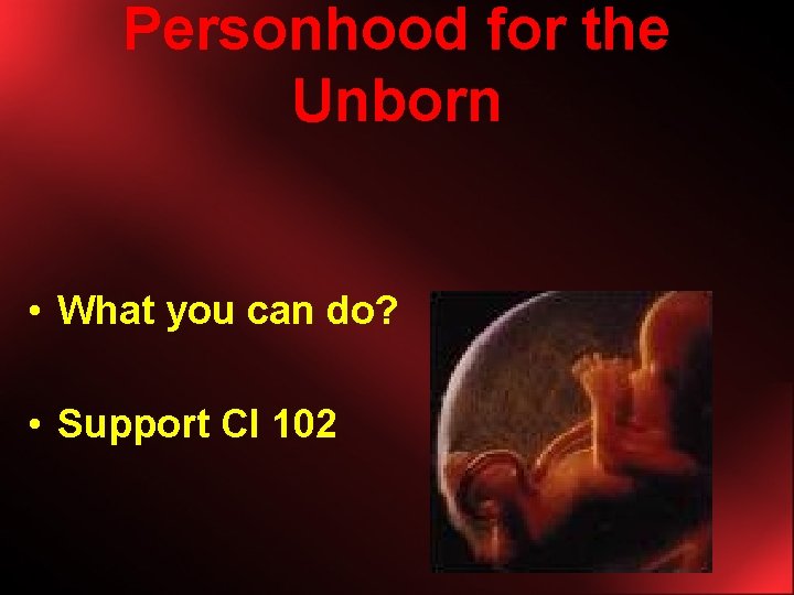 Personhood for the Unborn • What you can do? • Support CI 102 