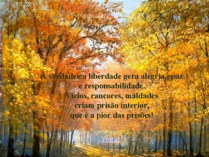 A verdadeira liberdade gera alegria, paz e responsabilidade. Vícios, rancores, maldades criam prisão interior,