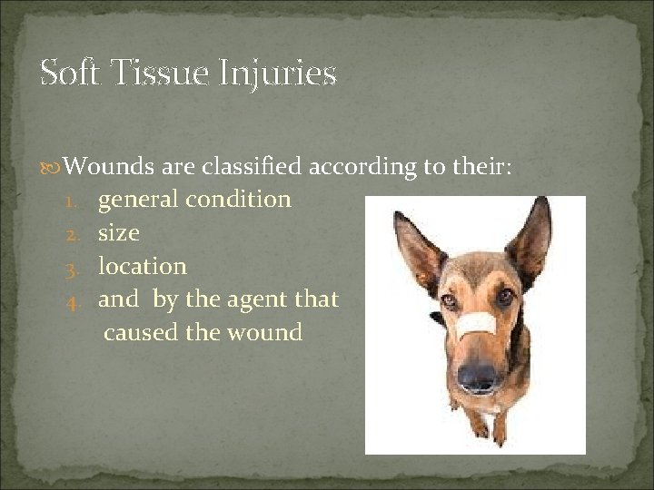 Soft Tissue Injuries Wounds are classified according to their: 1. general condition 2. size
