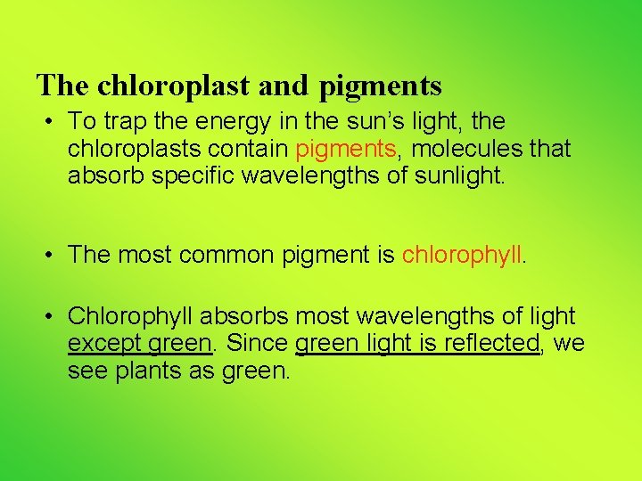 The chloroplast and pigments • To trap the energy in the sun’s light, the