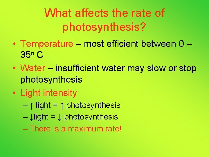 What affects the rate of photosynthesis? • Temperature – most efficient between 0 –