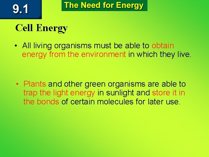 Cell Energy • All living organisms must be able to obtain energy from the