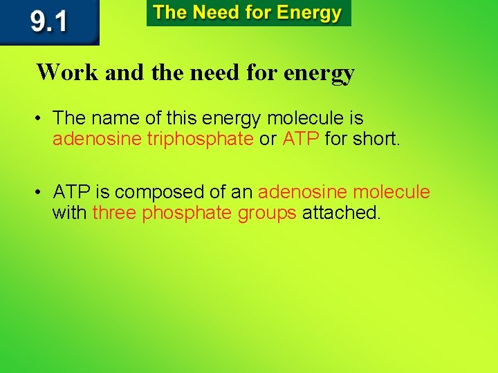 Work and the need for energy • The name of this energy molecule is